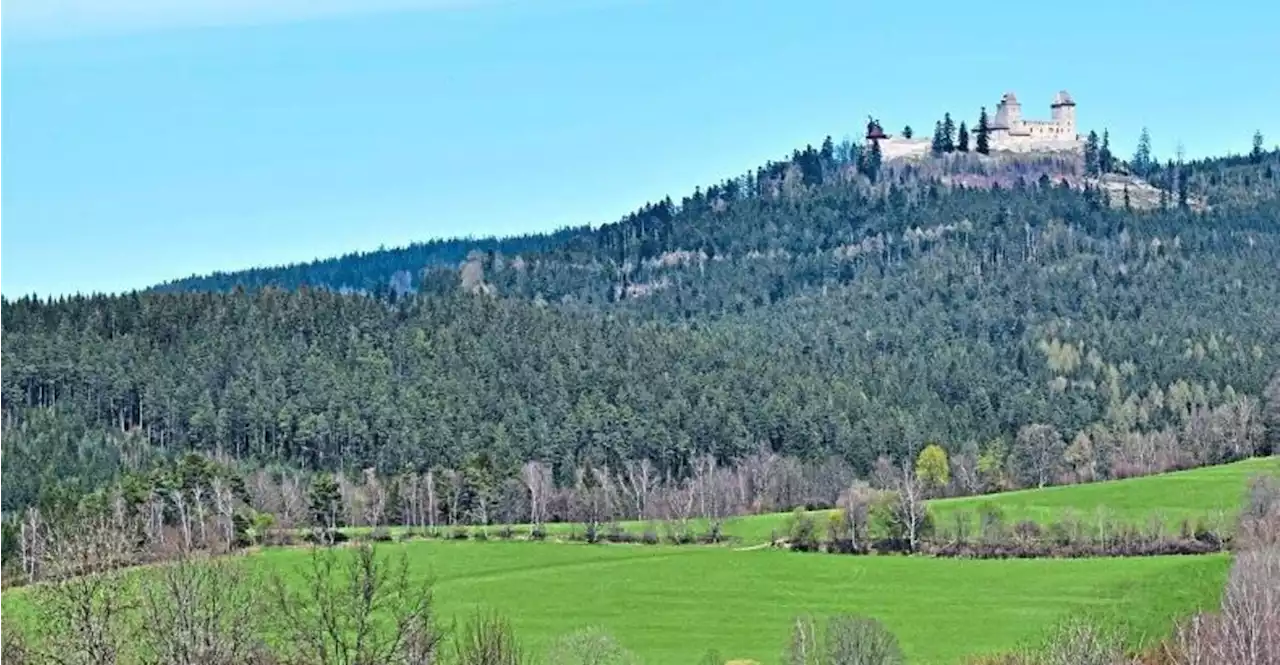 Herrliche Landschaft und böhmisches Bier: Unterwegs auf dem Goldsteig in Böhmen