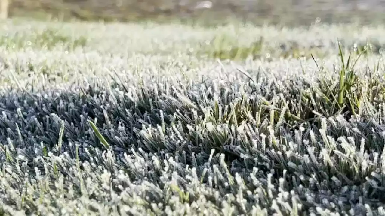 Freeze Warnings Issued Ahead of Another Cold Night in the Chicago Area, but is There Relief in Sight?