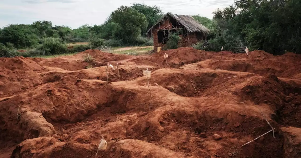 Kenyan hunger cult deaths reach 89, officials hope survivors will 'tell the story'