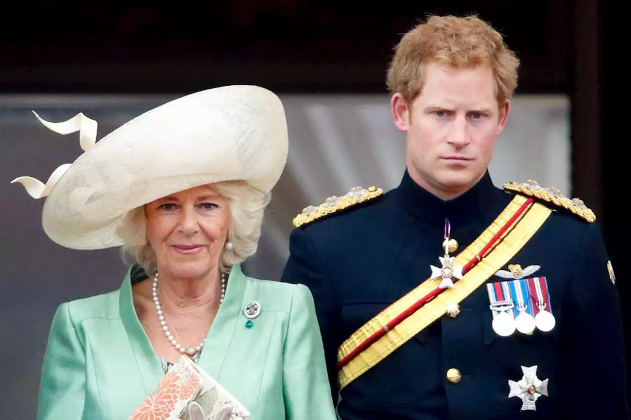 Prince Harry blames palace's quest to make Camilla queen for lawsuit delay