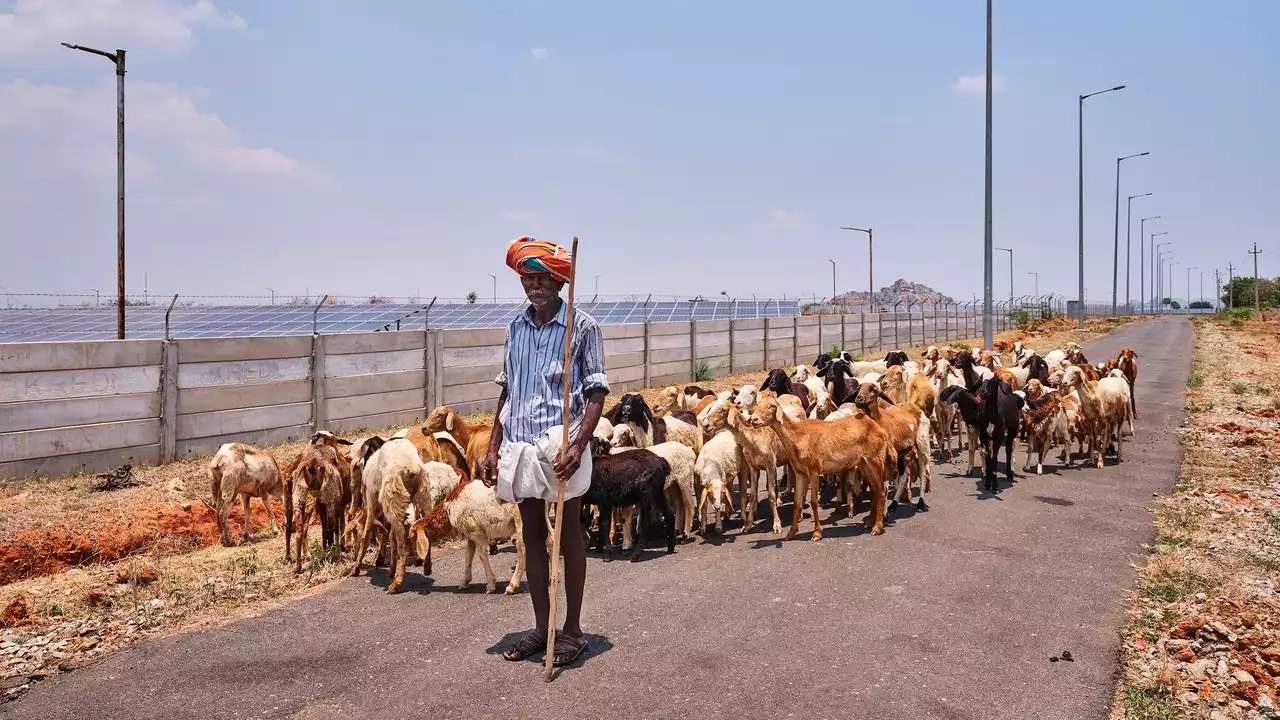 India’s Quest to Build the World’s Largest Solar Farms