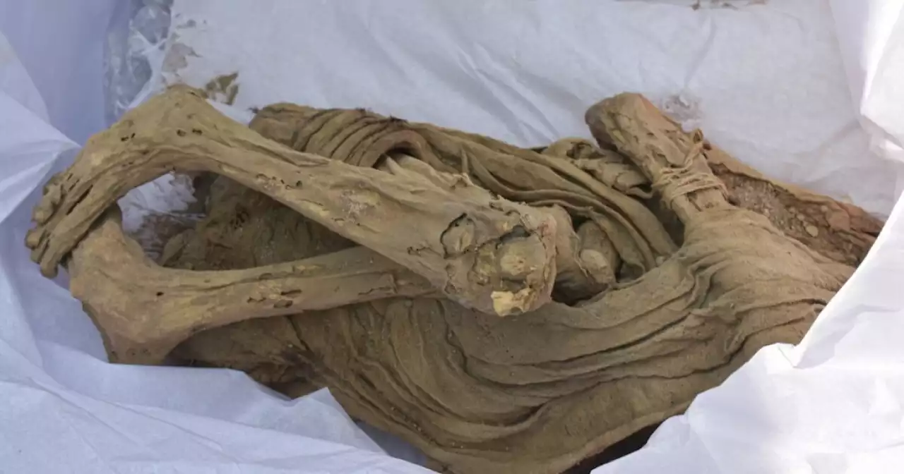 Encuentran momia de una adolescente de entre 800 y 1.200 años de antigüedad