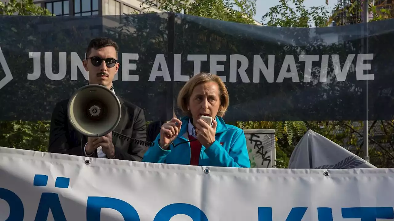 Verfassungsschutz stuft AfD-Nachwuchs als rechtsextremistisch ein