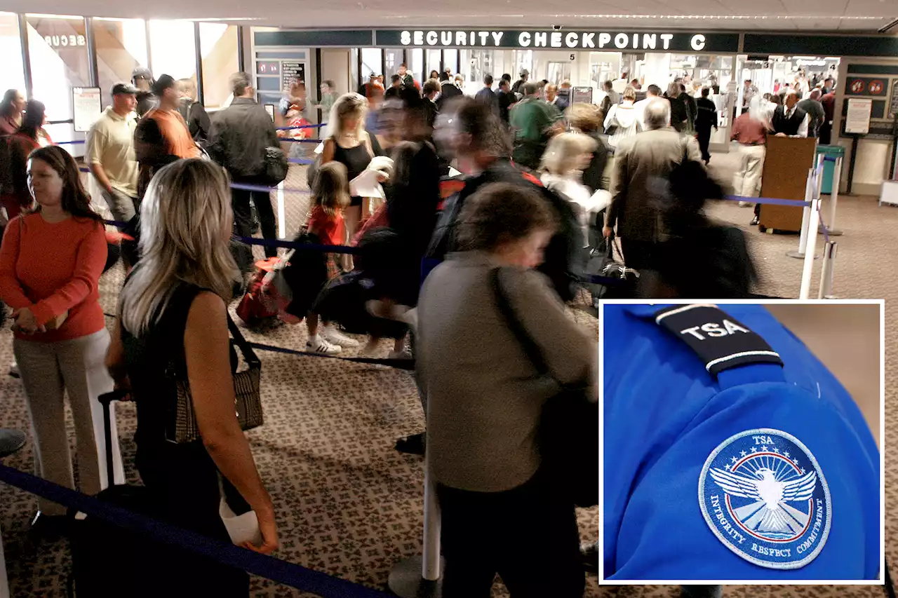 Woman attacks three TSA agents at Phoenix Sky Harbor Airport