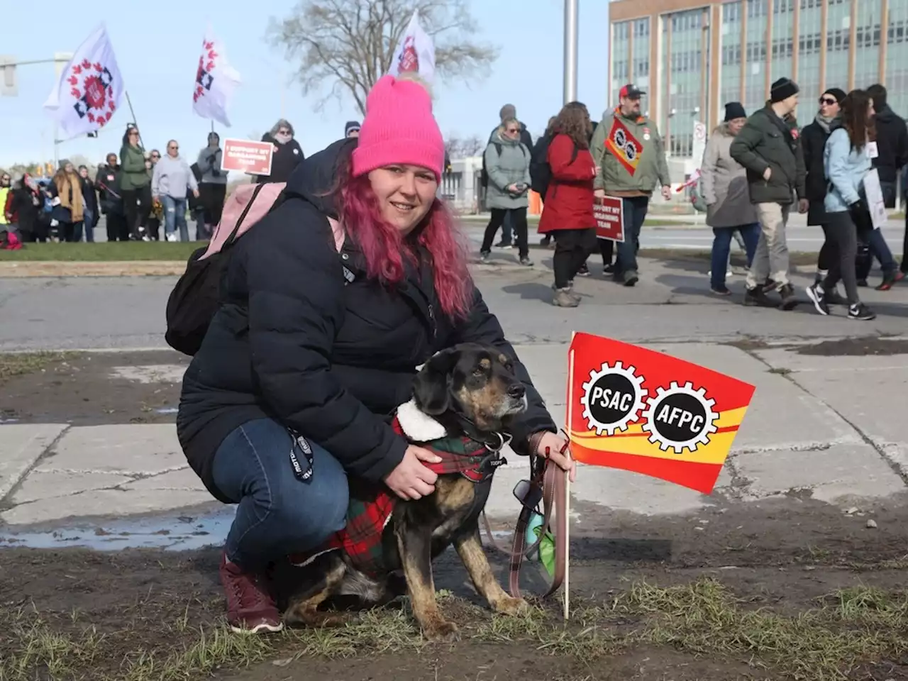 PSAC PUPS: This Ottawa picket line resembles a dog park, with strikers