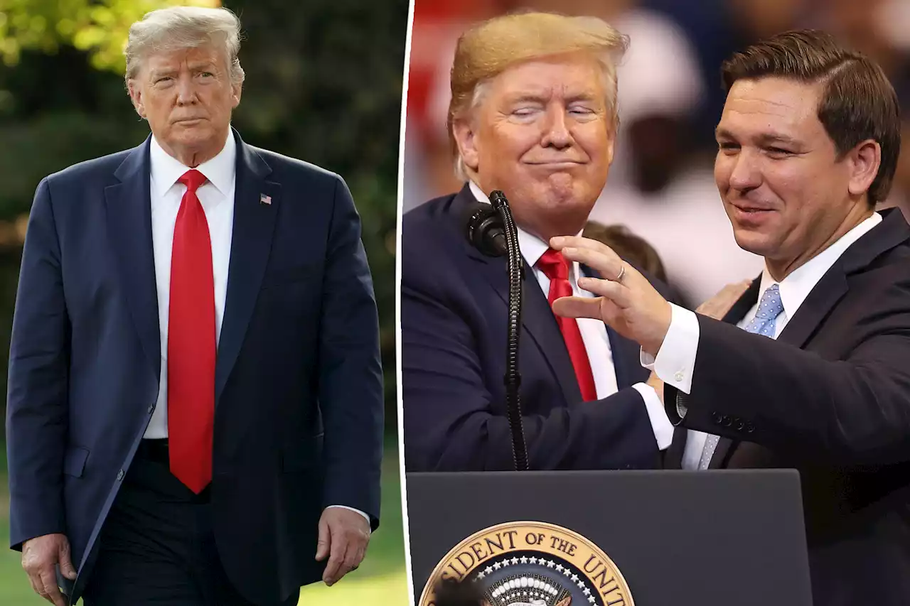 Trump ‘listening’ to insiders urging him to make DeSantis his VP pick