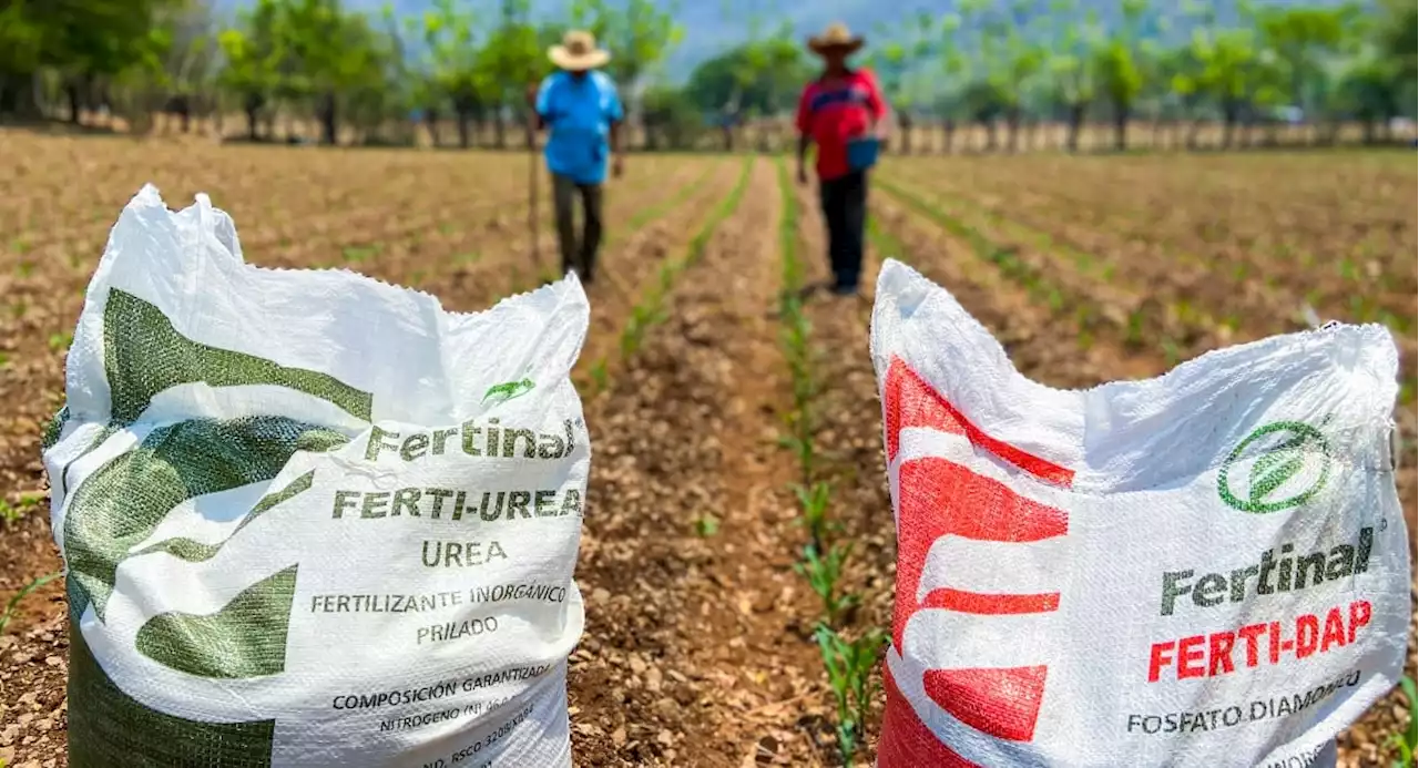 Silao será cede de 'Fertilizantes del Bienestar', entérate cómo puedes recibir el apoyo al campo