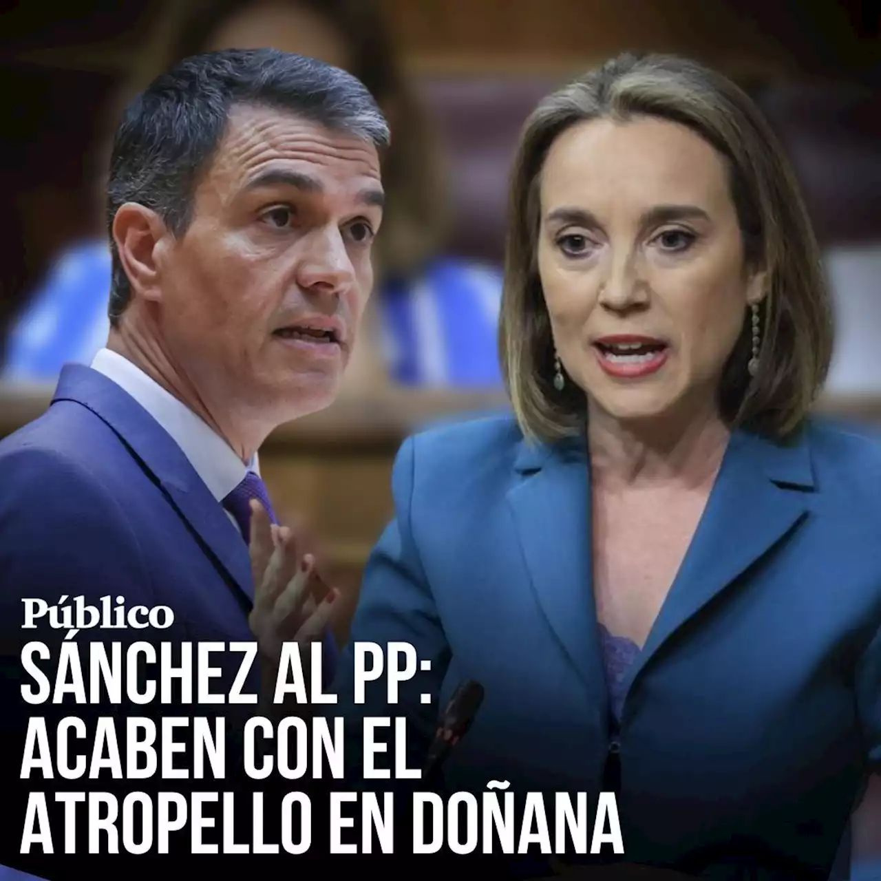 Sánchez insta al PP a cumplir la ley de vivienda 'en todas las regiones' y acabar con el 'atropello' de Doñana