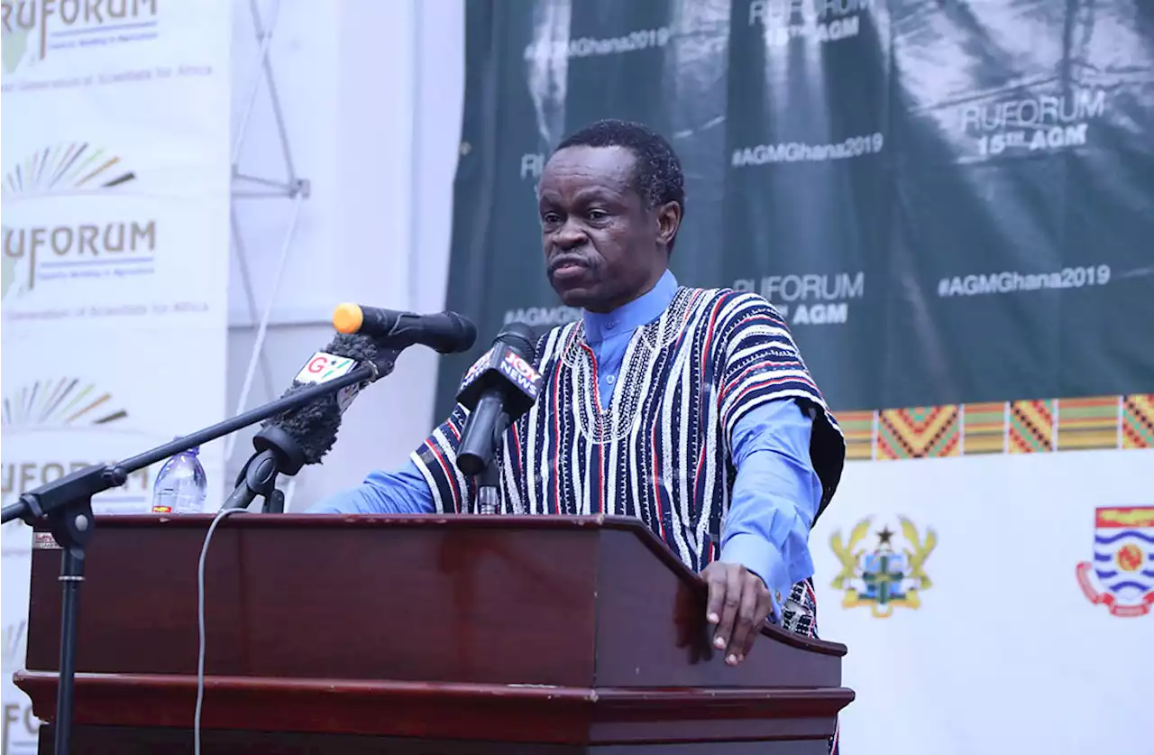 African Governments Doing Too Little To Stop Spread Of Islamic Terrorists In Continent – PLO Lumumba | Sahara Reporters