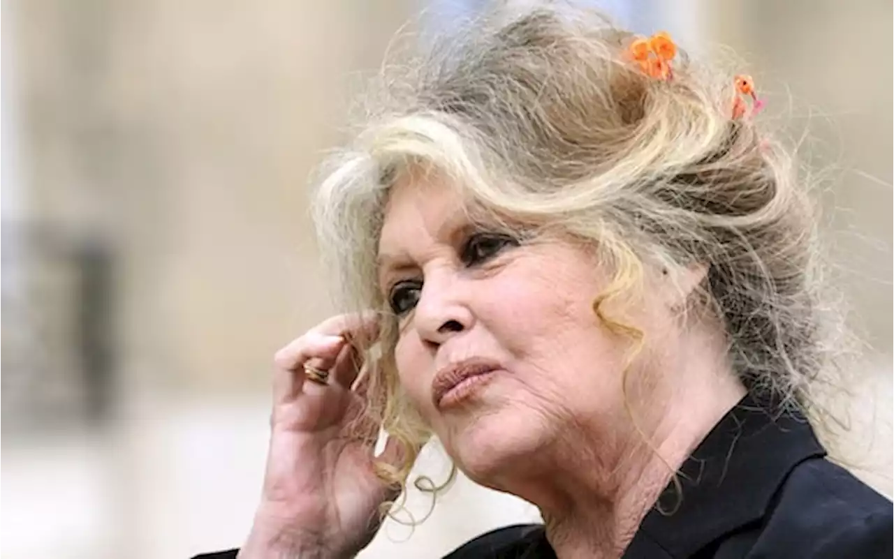 Francia, Brigitte Bardot attacca Macron: 'Sei un essere malefico'