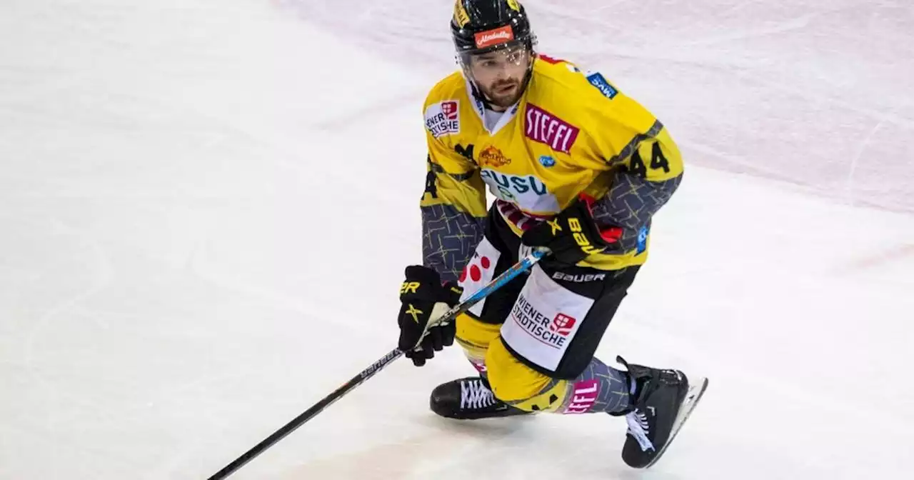 DEL: Eisbären Berlin verpflichten Ben Finkelstein von Vienna Capitals