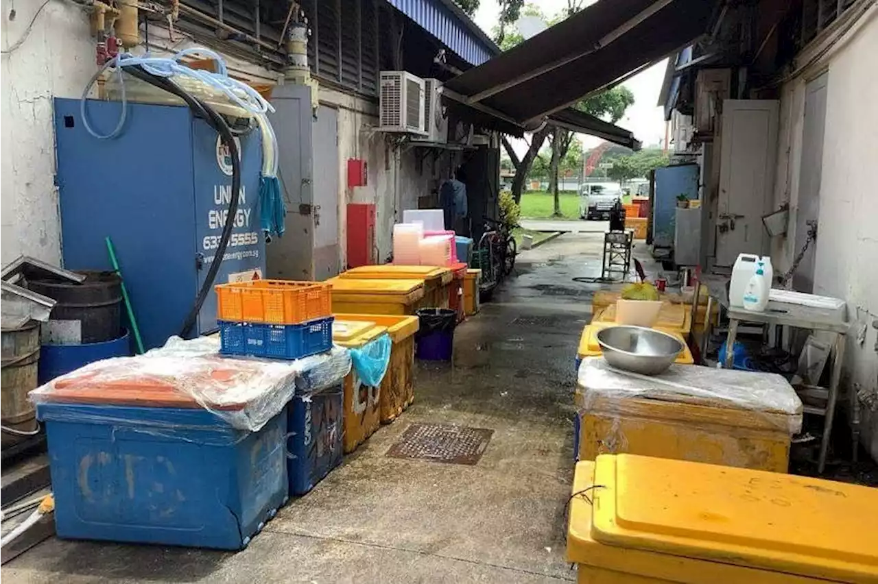 Fish wholesaler and its director fined for running unlicensed fish processing facility in Aljunied