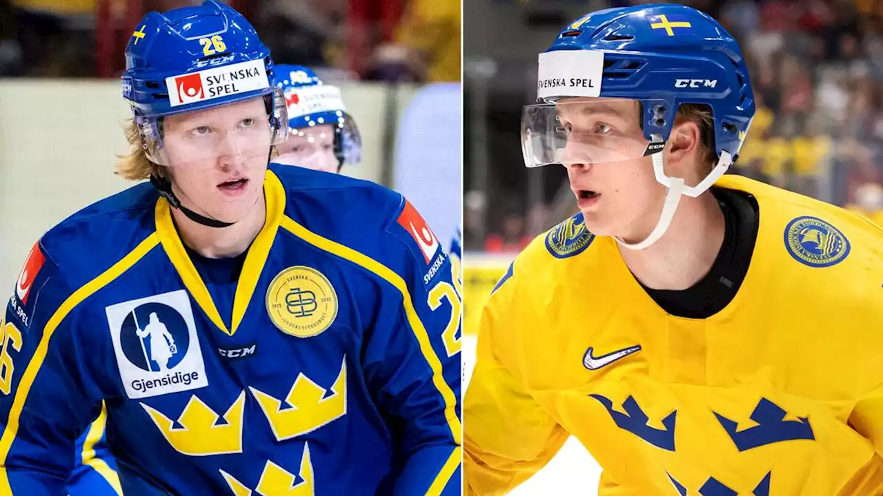 Ishockey: Uppgifter till SVT Sport: Elias Pettersson och Rasmus Dahlin missar VM