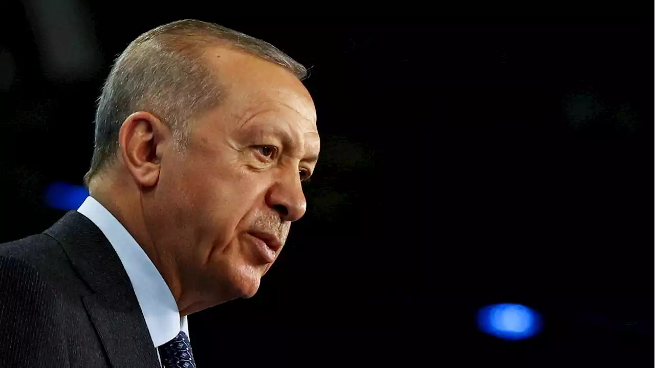 Angebliche Würgegeräusche im Live-Interview: Erdogan muss seinen Wahlkampf wegen gesundheitlicher Probleme unterbrechen