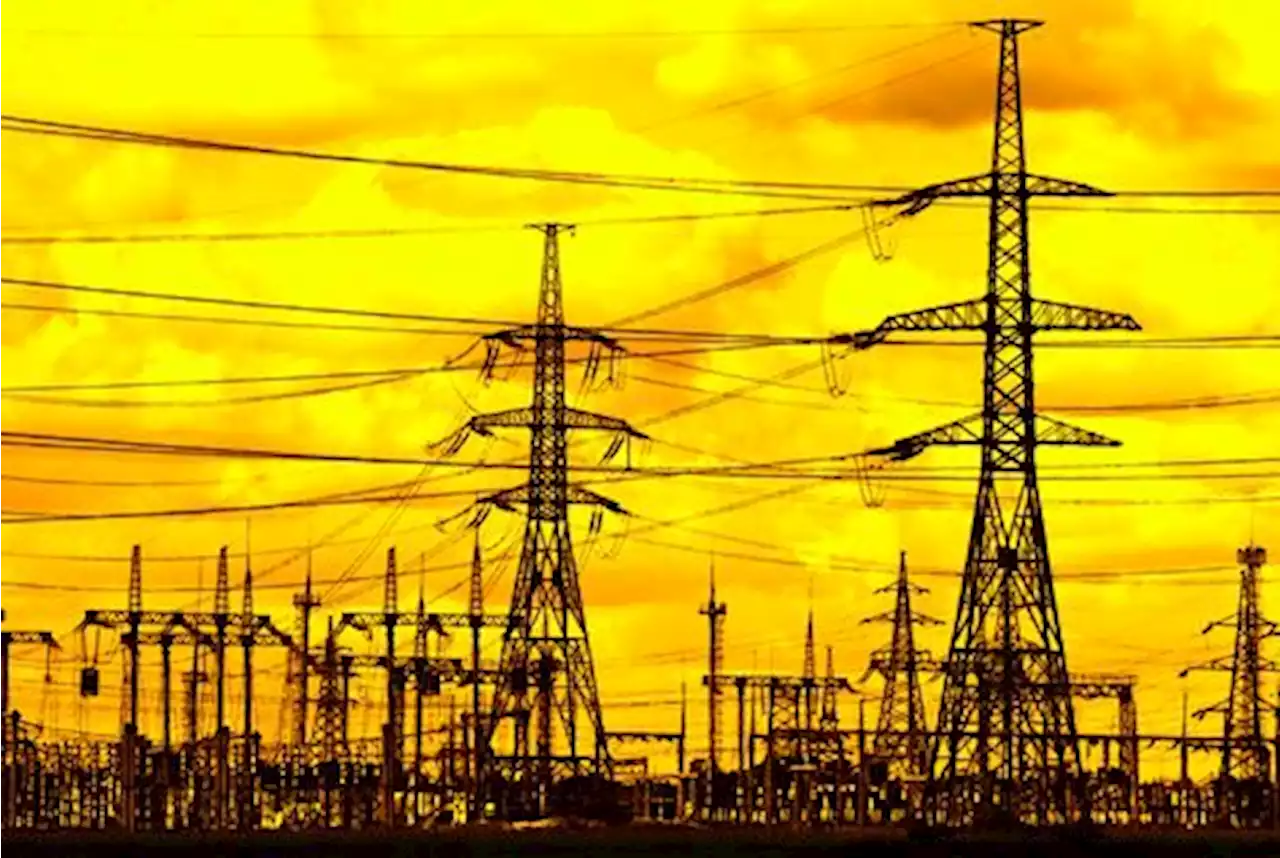 TCN threatens to punish DisCos, GenCos over non-compliance with market rules | TheCable