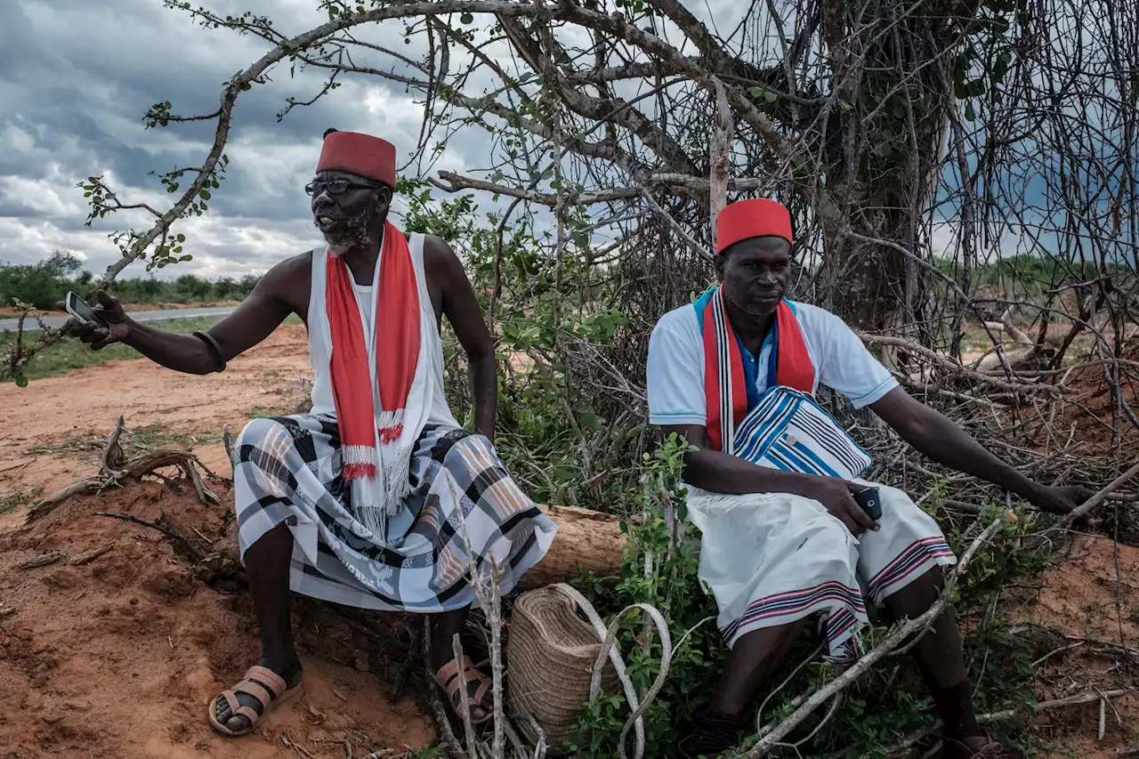 Kenya starvation cult toll climbs to 83 as more bodies found | The Citizen