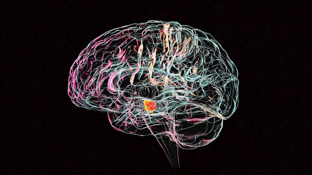 We Just Broke Through a Major Barrier to a Parkinson’s Cure