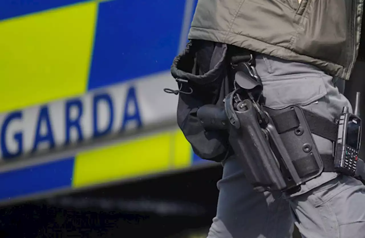 Detective Garda who came under fire says all gardaí should have tactical training