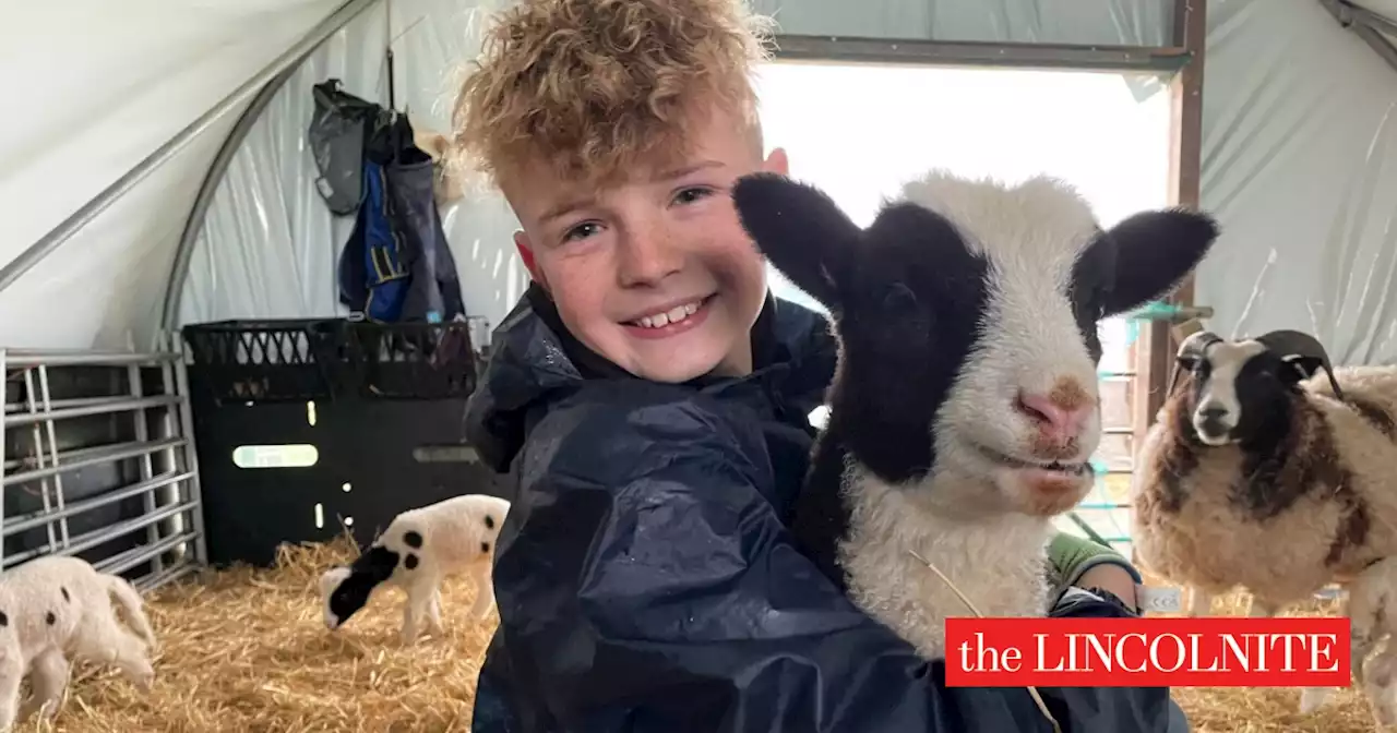 Meet Lincolnshire's 11-year-old farmer appearing on Countryfile this weekend