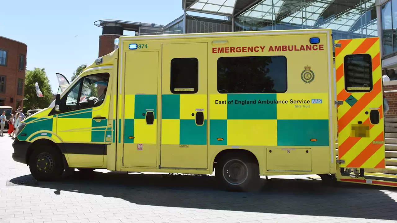 'Loving' woman, 66, died when she fell from the back of an ambulance