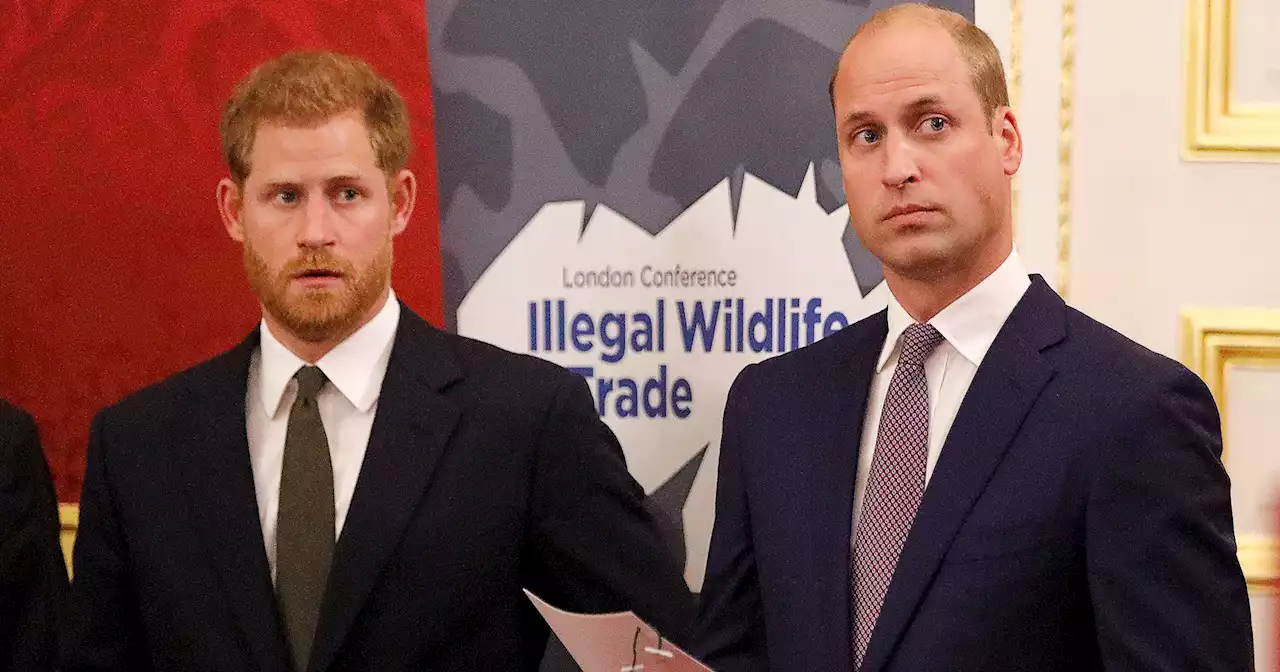 Prince Harry and Prince William's Communication Has Been 'Radio Silence'