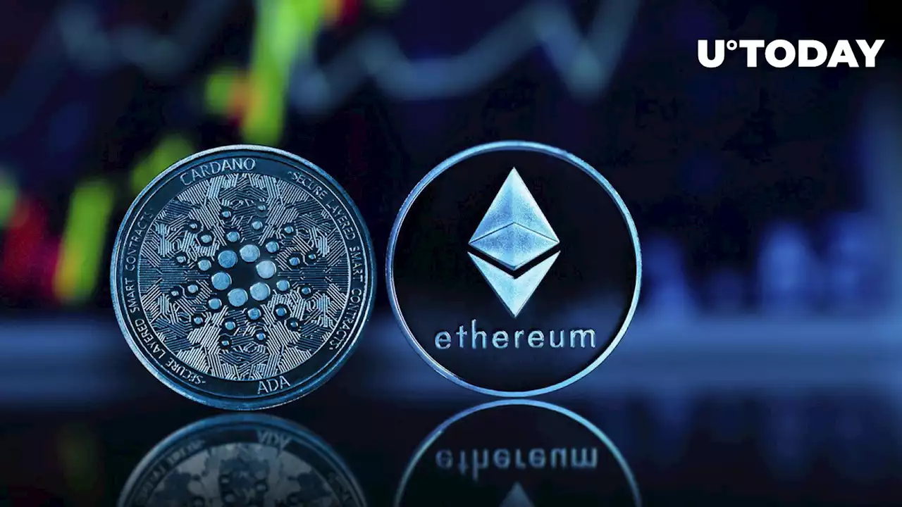 Cardano Djed Stablecoin to Open Doors for Ethereum Developers: Details