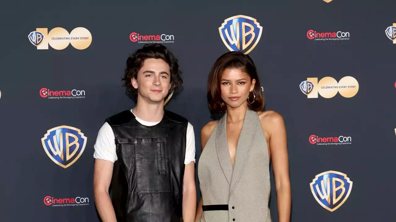 Timothée Chalmet and Zendaya Illustrate Two Different Ways to Pull Off A Vest