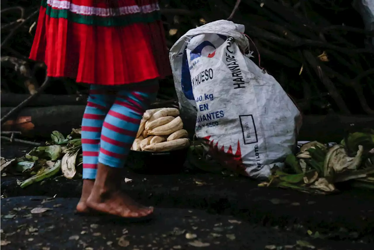 Un grupo de indígenas del Cauca llegó a Bogotá buscando ser escuchados por el Gobierno