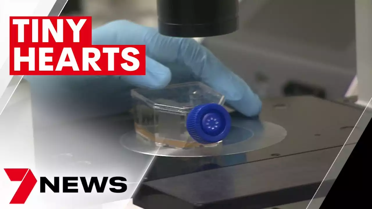 Brisbane researchers take giant leap forward in fight against heart disease | 7NEWS