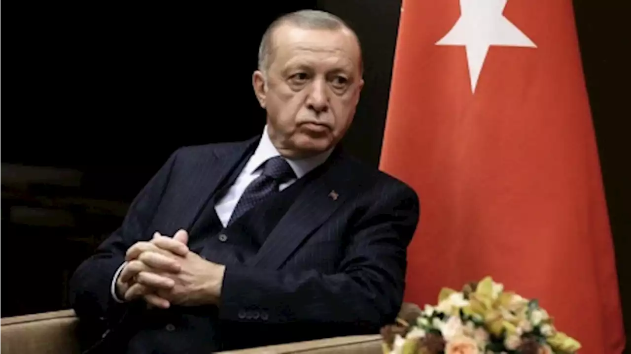 Erdogan suspendió temporalmente sus actos de campaña por un problema leve de salud