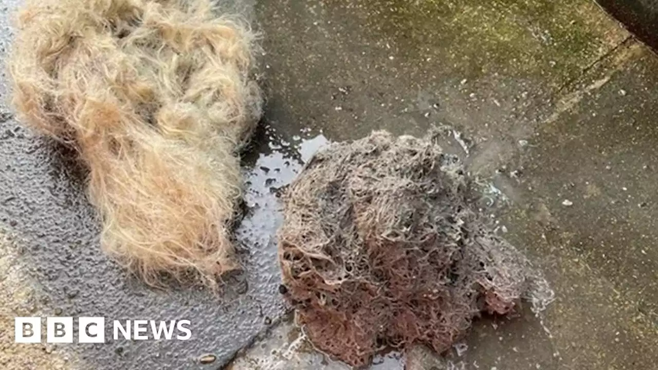 Dumped wigs cause Bradford drains to overflow with sewage