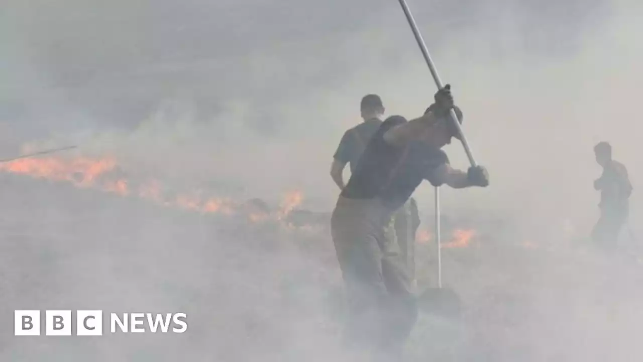 Marsden Moor arson inquiry after widespread fires