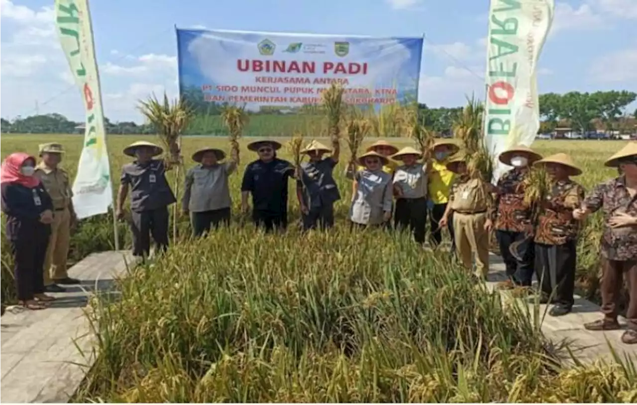 Pacu Pupuk Organik, Jokowi Perintahkan Mentan Ubah Aturan Pupuk Bersubsidi