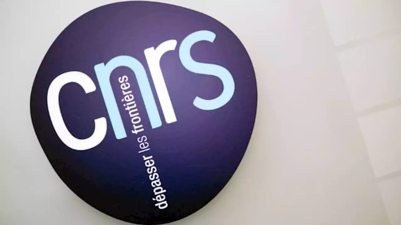 Deux directeurs de recherche du CNRS sanctionnés pour harcèlement sexuel ou moral