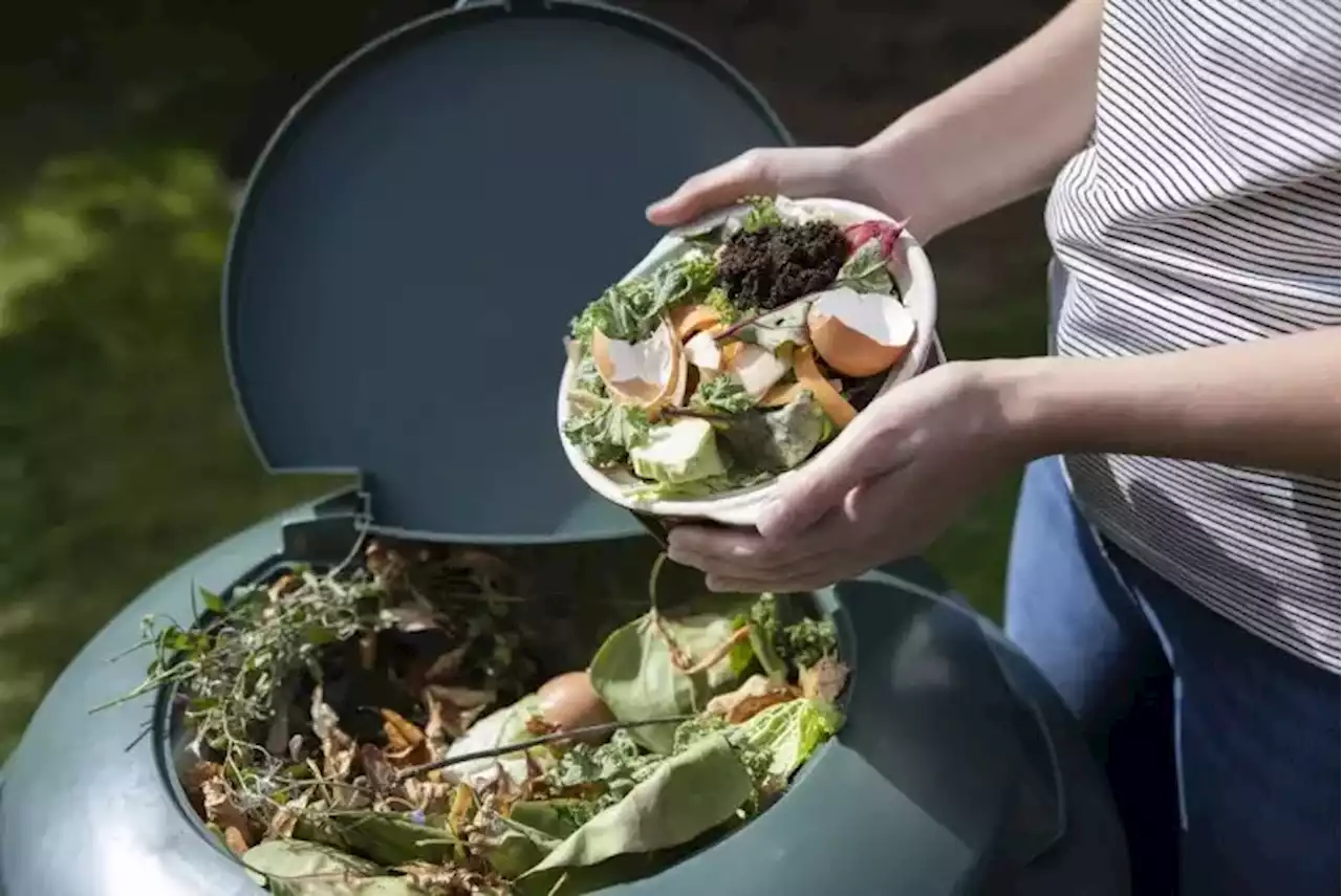 Le compost obligatoire : c\u2019est pour bient\u00f4t !