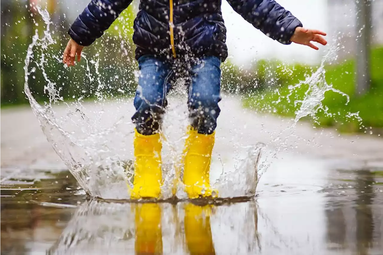 Chance of showers to dampen sunny streak in Metro Vancouver this weekend