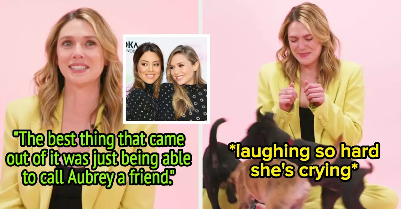 Elizabeth Olsen Being Overwhelmed By Puppies While Answering Questions Is The Cutest Thing Ever