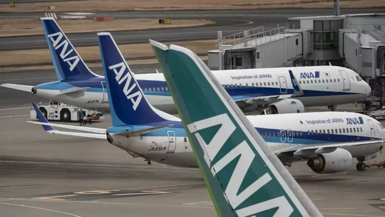 Commentary: ANA may have cancelled mistake fares, but for bargain hunters, the search is part of the fun