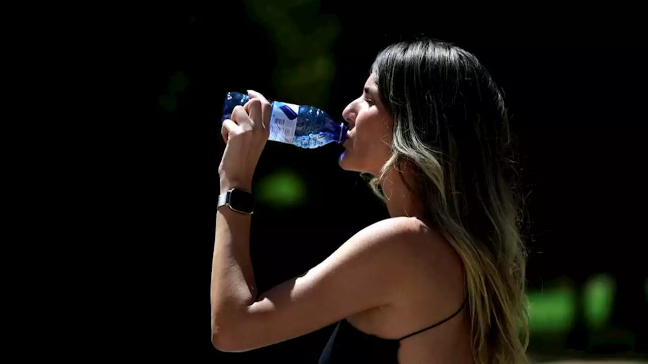 Météo : sécheresse, chaleur... Voici les prévisions de Météo France pour les 3 prochains mois