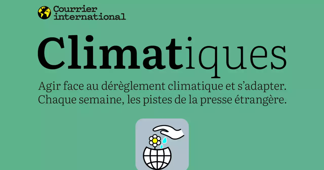 Climatiques. Hardi, moussaillons, la course à l’éolien en mer du Nord est lancée !