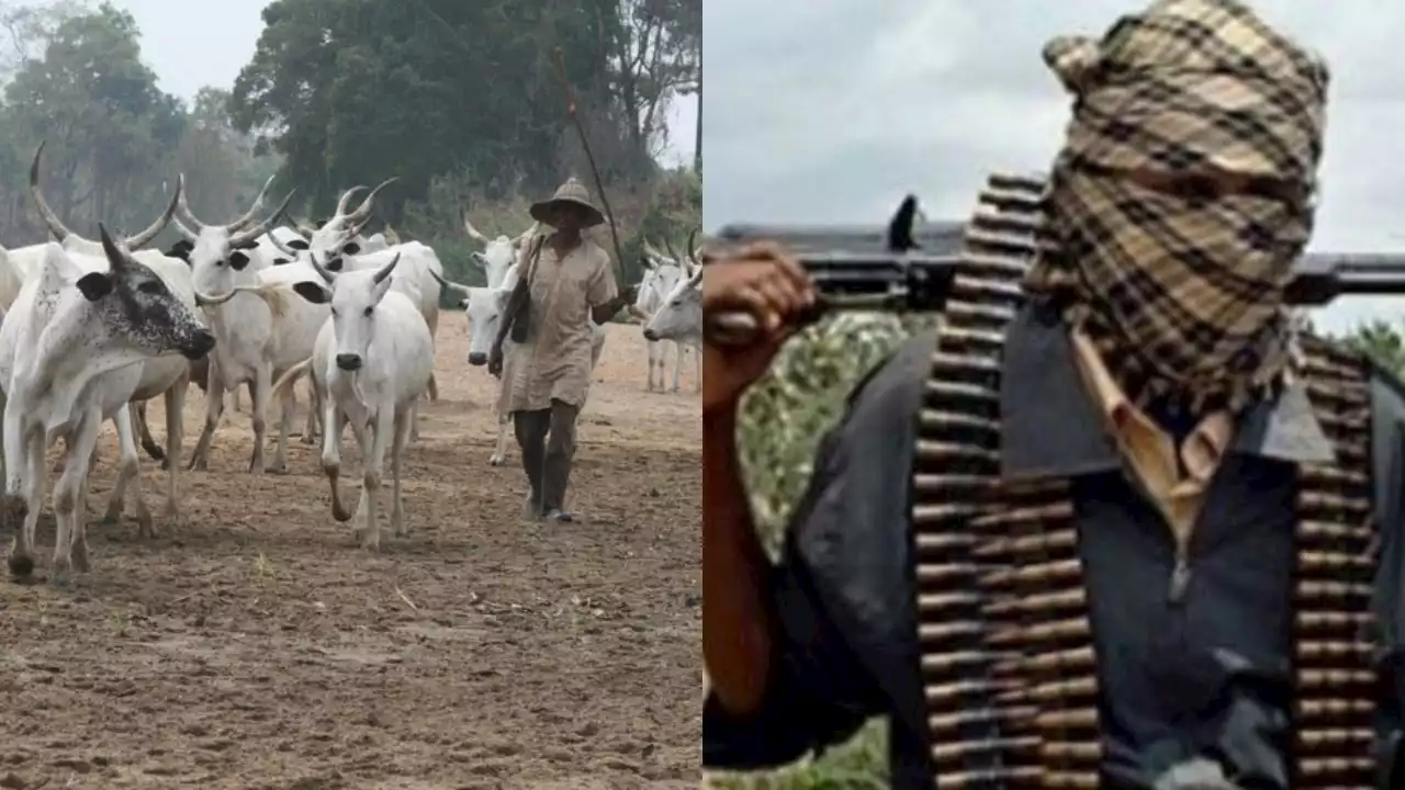 Again, suspected herdsmen attack Benue communities, kill 10