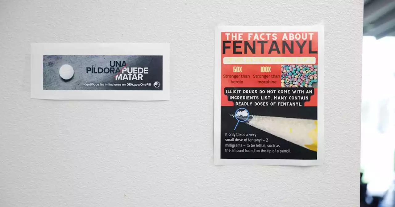 Fentanyl test strip bill stalled in Texas Senate as the drug crisis grows