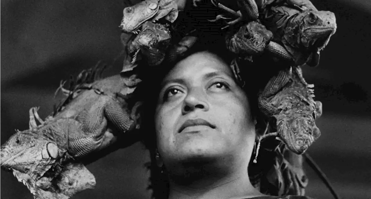 El MAM prepara homenaje a Graciela Iturbide, el ícono de la fotografía moderna