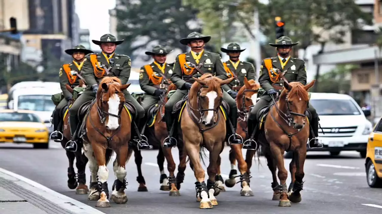 Sí en tercer debate a prohibición de animales en protestas