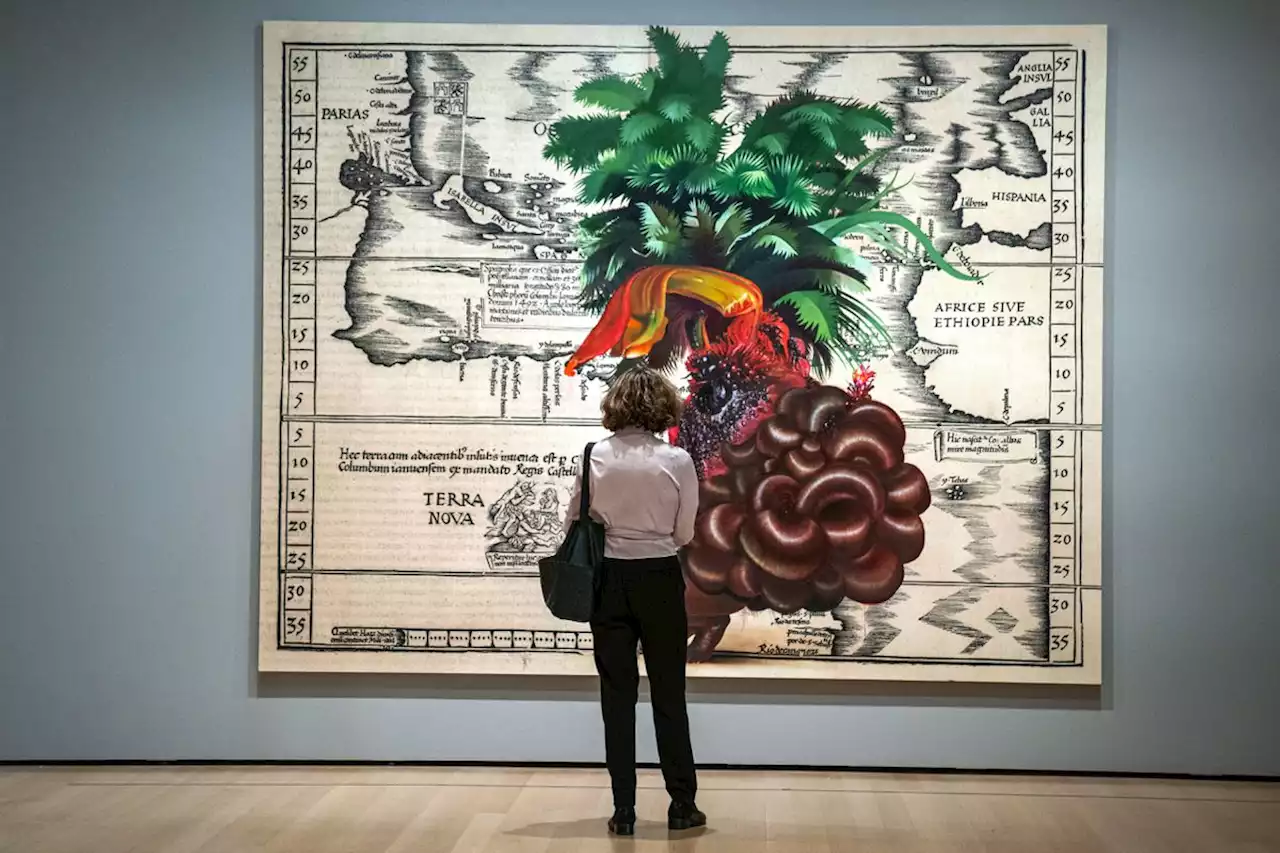 El MoMA de Nueva York se quita las gafas de la colonización