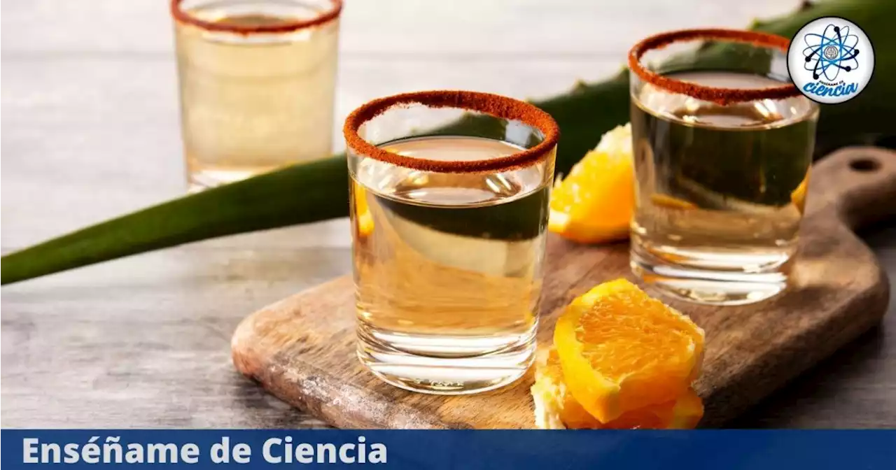 Mezcal: estas son las marcas no recomendadas, no pasaron las pruebas PROFECO