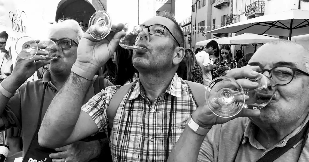 La mia Langa ora sa di plastica - Il Fatto Quotidiano