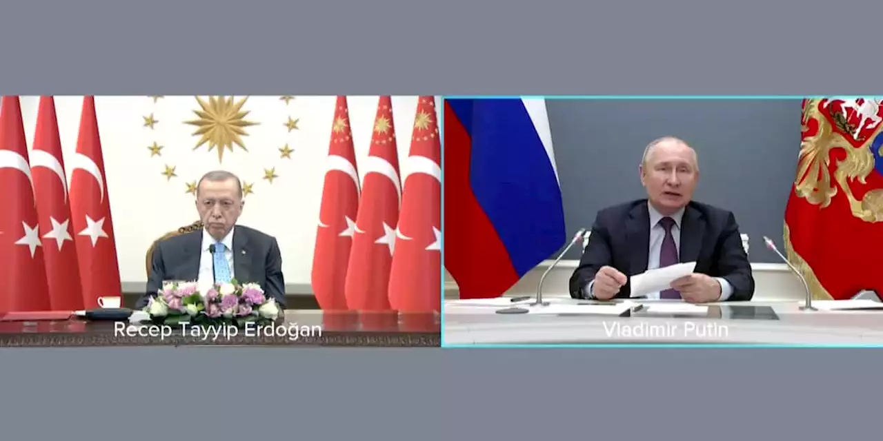 Erdogan zeigt sich erstmals nach Erkrankung bei Videoschalte mit Putin - Video