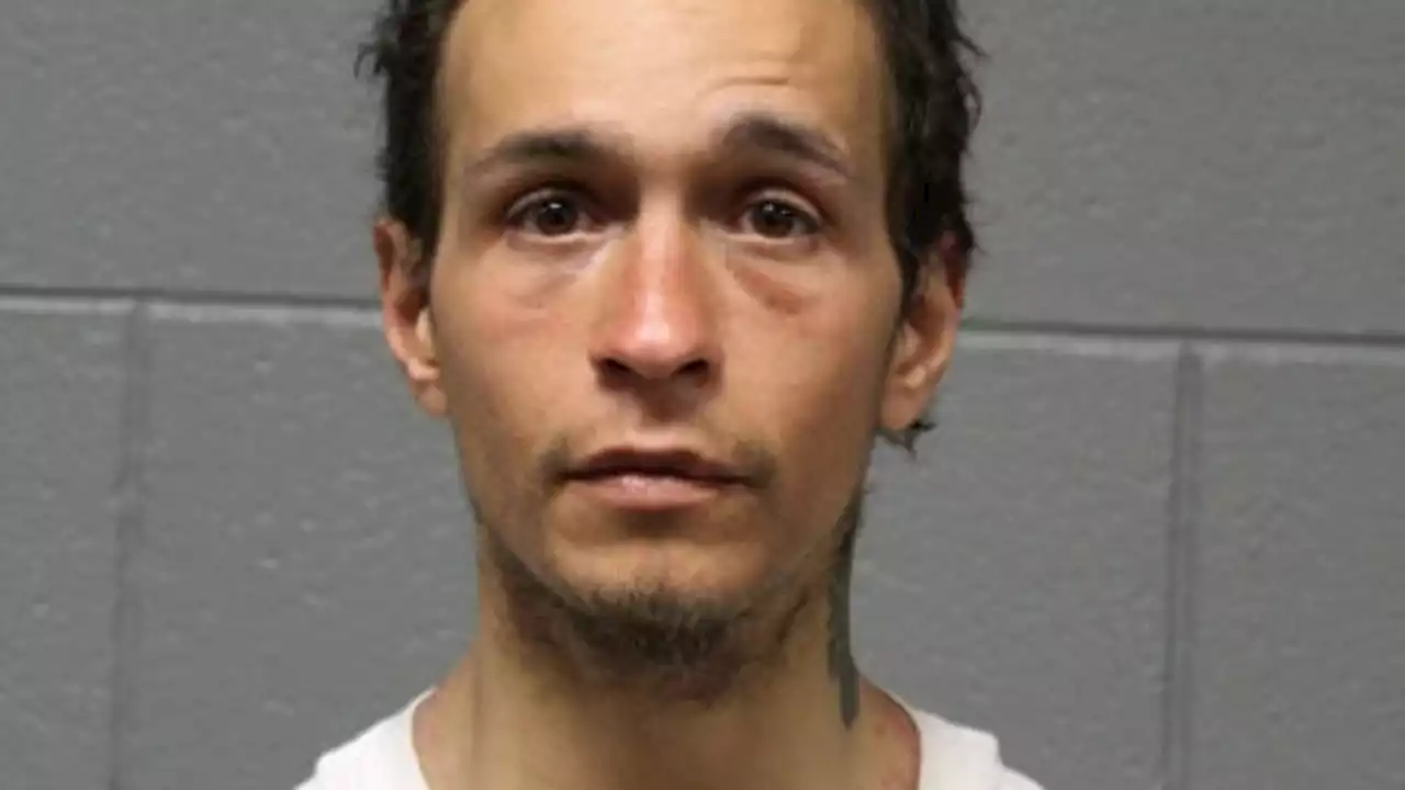 Chicago man charged with stabbing elderly man in attempted robbery at CTA station: police