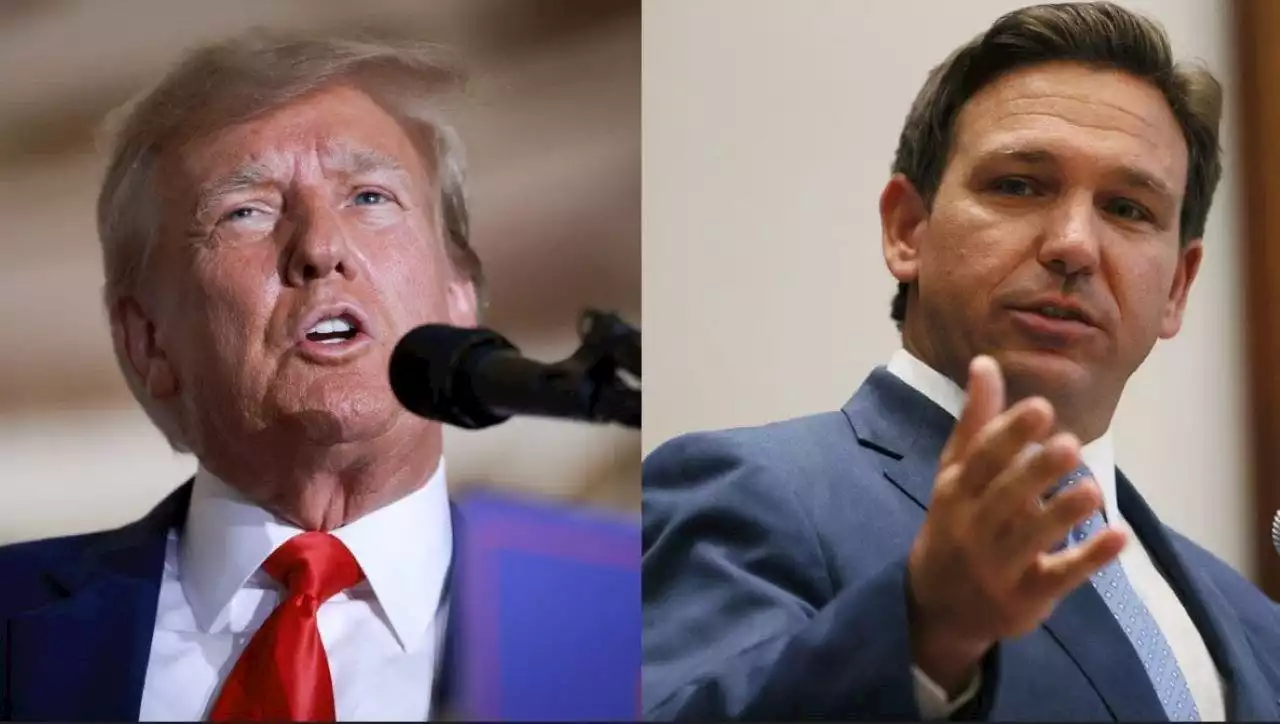 Trump parrots liberal talking points to slam DeSantis baffling critics: ‘Bizarre’